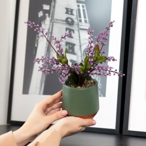 Штучна рослина у горщику 8.5 см DH-flowers-15 PINK/GREEN