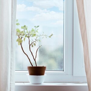 Москітна сітка для вікон WN-1500 WHITE