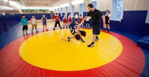 Борцівський килим для дзюдо / боротьби / шкіл. Спортивні мати татамі-пазл