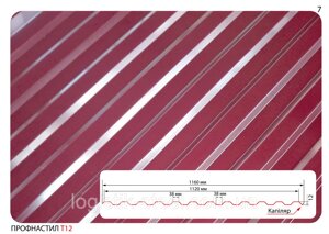 Профнастил T-12 PS-12 0,45мм США Словаччина для паркану, паркан вишневий коричневий зелений