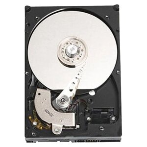 Накопичувач HDD DELL 3.5" SATA 1TB 7.2K HD cabled - kit (400-ACRS)