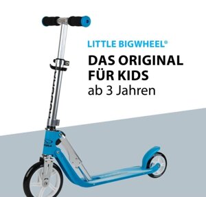 Самокат скутер Hudora Little Big Wheel