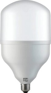 Лампа Светодиодная "TORCH-50" 50W 4200K E27