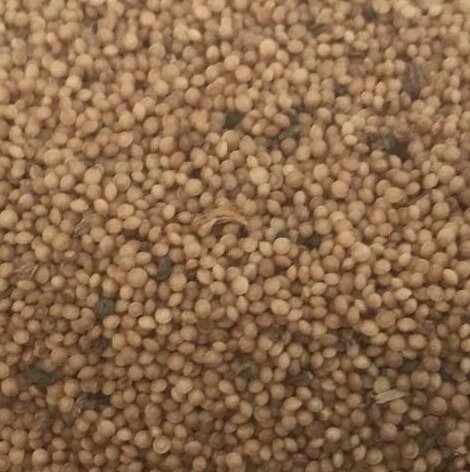 1 кг Амарант плоди/насіння сушене (Свіжий урожай) лат. Amaránthus від компанії greencard - фото 1