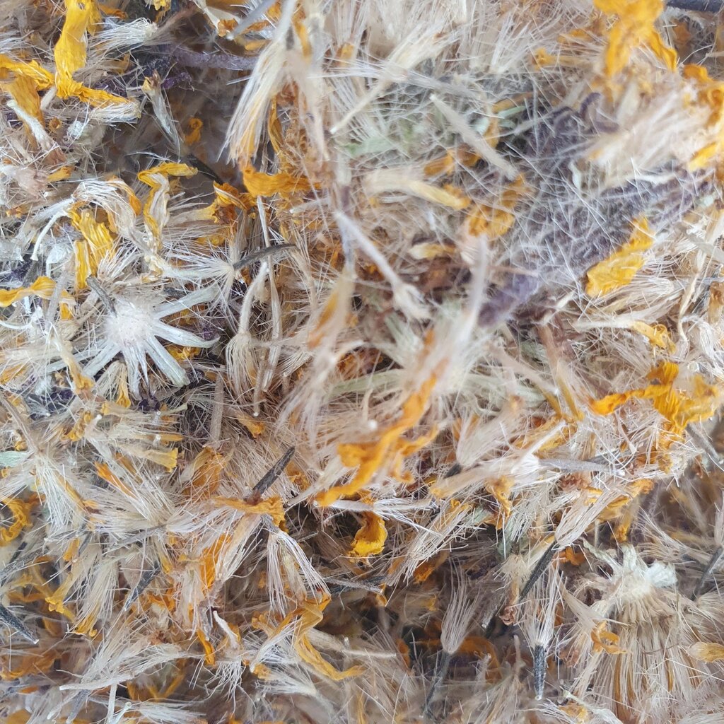 1 кг арніка/баранник гірський цвіт/квіти сушені (Свіжий урожай) лат. Arnica montana від компанії greencard - фото 1