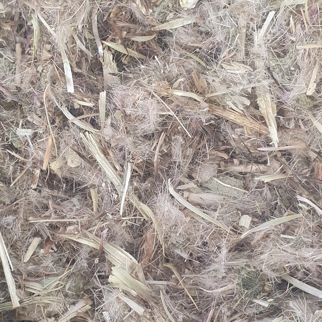 1 кг Артишок справжній трава сушена  (Свіжий урожай) лат. Cynara Scolymus від компанії greencard - фото 1