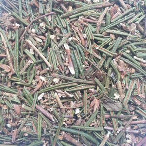 1 кг Богульник/багно болотне пагони сушенні (Свіжий урожай) лат. Lédum palústre