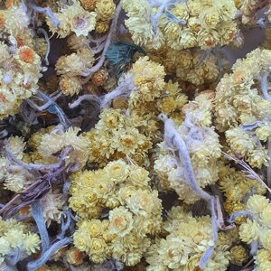 1 кг Цмин пісковий цвіт сушений (Свіжий урожай) лат. Helichrysum arenarium