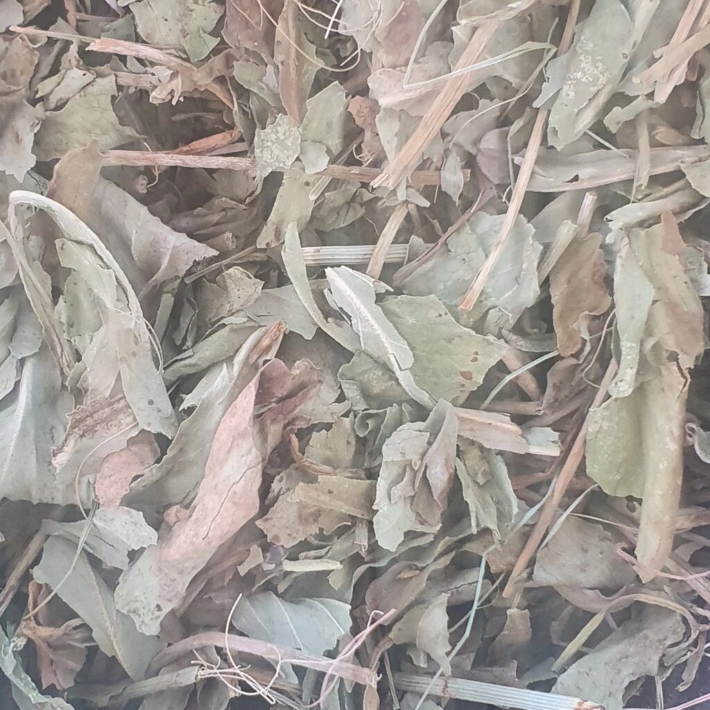 1 кг Бобівник/трилисник водяний/вахта трилиста листя сушене  (Свіжий урожай) лат. Menyantnes trifoliata від компанії greencard - фото 1
