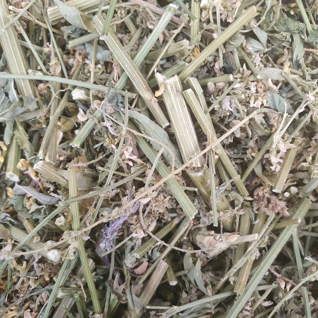 1 кг Буркун трава сушена  (Свіжий урожай) лат. Melilótus officinális від компанії greencard - фото 1