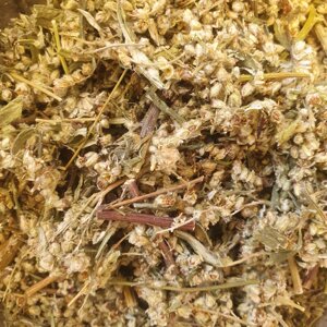 1 кг Чорнобильник/полин звичайний трава сушена (Свіжий урожай) лат. Artemísia vulgáris