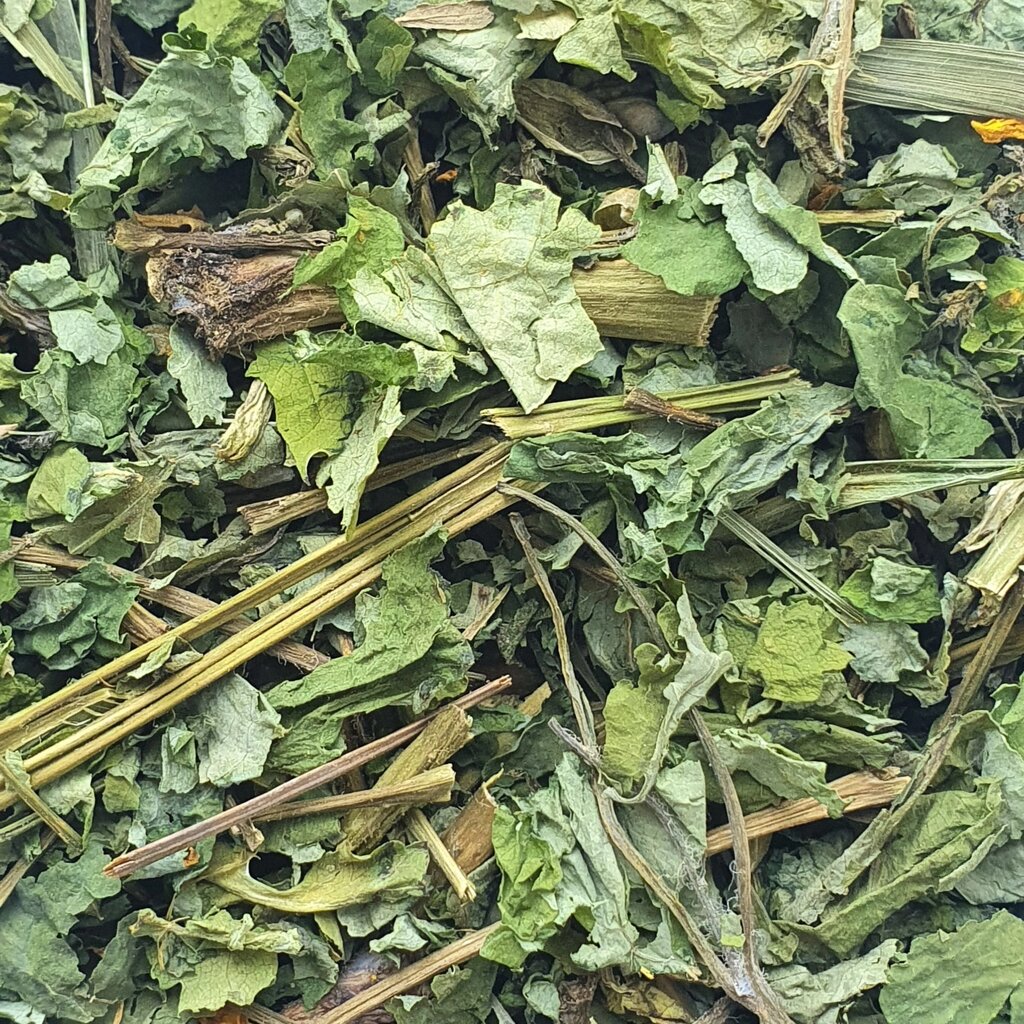 1 кг Чистотіл трава сушена (Свіжий урожай) лат. Chelidonium від компанії greencard - фото 1