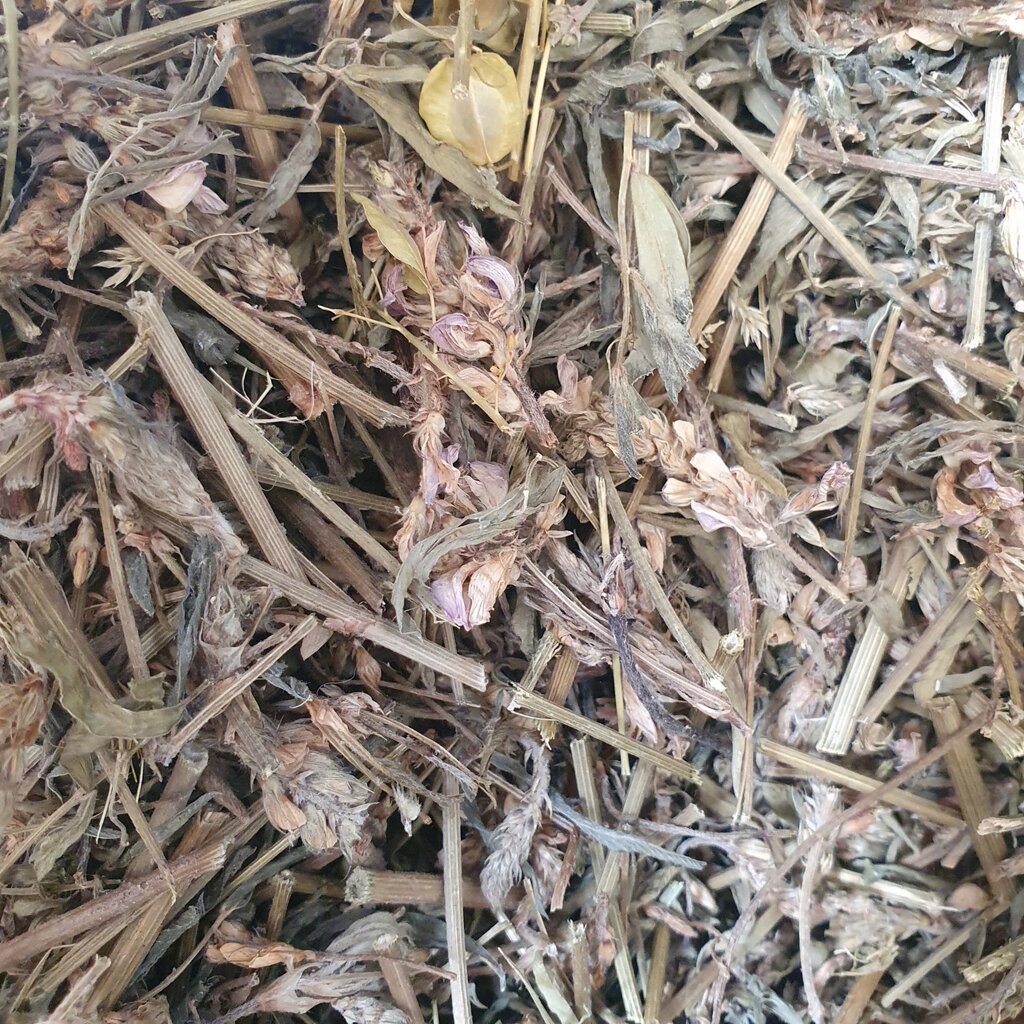 1 кг Еспарцет трава сушена (Свіжий урожай) лат. Onobrychis viciifolia від компанії greencard - фото 1