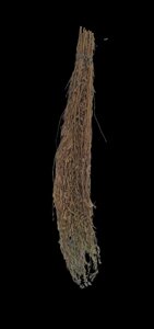 1 кг Естрагон/тархун трава сушена (Свіжий урожай) лат. Artemísia dracúnculus
