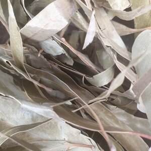 1 кг Евкаліпт листя сушене (Свіжий урожай) лат. Eucalyptus