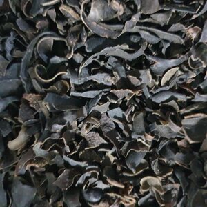1 кг Фукус пухирчастий морська водорість сушена (Свіжий урожай) лат. Fucus vesiculosus