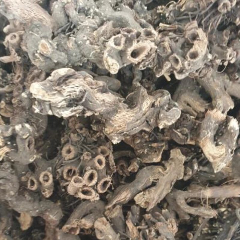 1 кг Клопогон/циміцифуга коріння сушене (Свіжий урожай) лат. Actaéa racemósa від компанії greencard - фото 1
