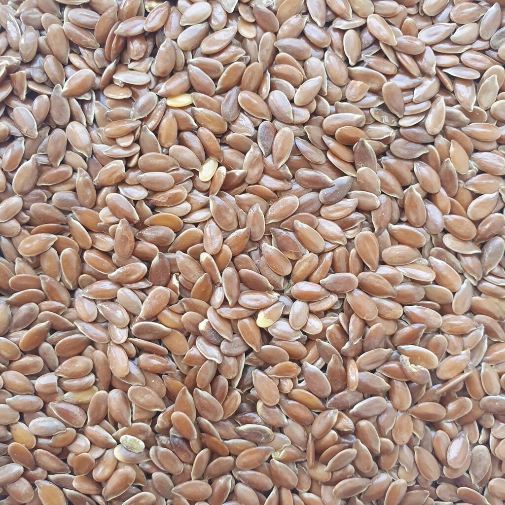 1 кг Льон насіння сушене (Свіжий урожай) лат. Línum usitatíssimum від компанії greencard - фото 1