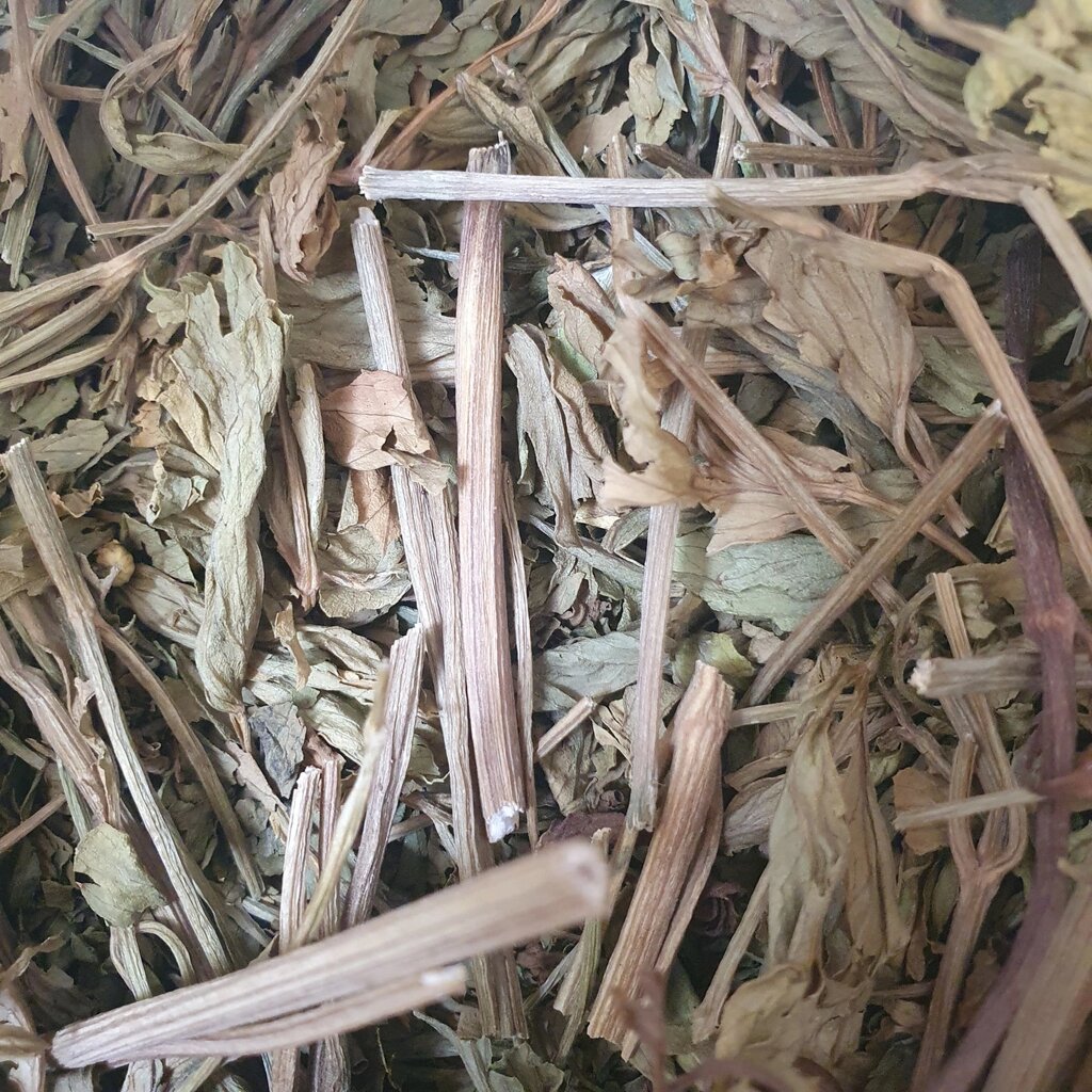 1 кг Любисток лікарський трава сушена (Свіжий урожай) лат. Levisticum від компанії greencard - фото 1