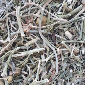 1 кг Могильник/ребрик/гармала звичайна трава сушена (Свіжий урожай) лат. Péganum hármala