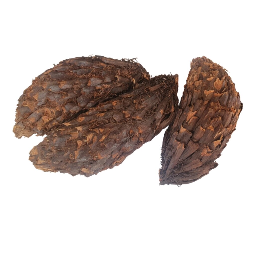 1 кг Папороть чоловіча/щитовнік коріння сушене (Свіжий урожай) лат. Dryópteris fílix-mas від компанії greencard - фото 1