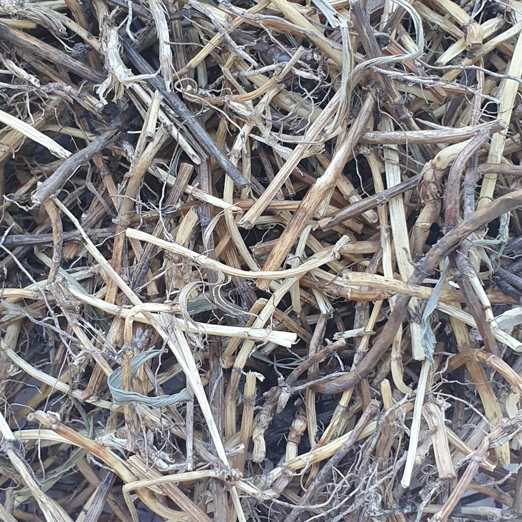 1 кг Пирій повзучий коріння сушене (Свіжий урожай) лат. Elytrígia répens від компанії greencard - фото 1