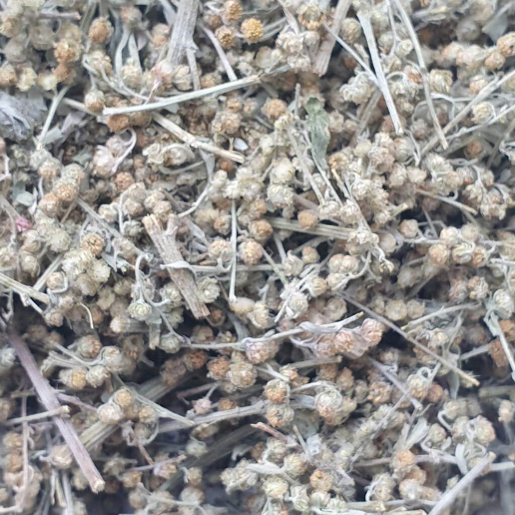 1 кг Полин гіркий трава сушеная (Свіжий урожай) лат. Artemísia absínthium від компанії greencard - фото 1