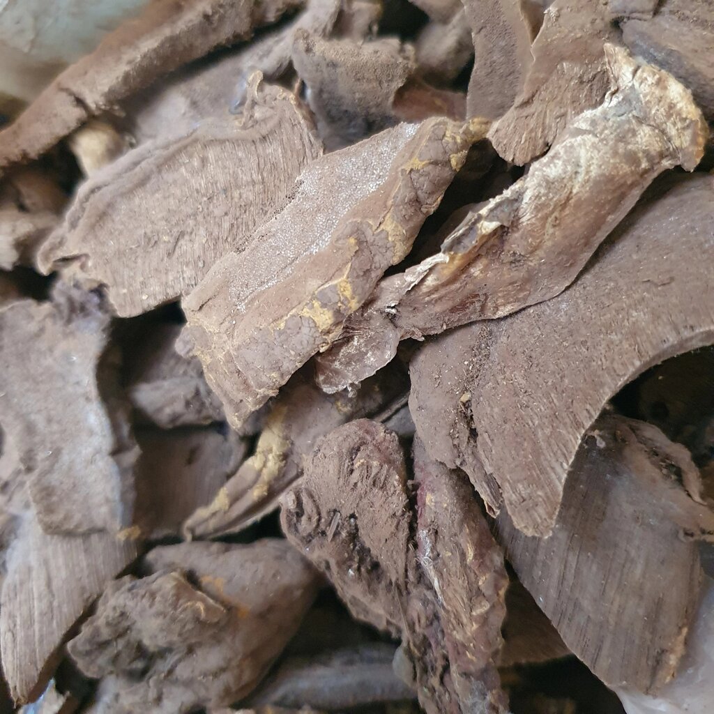 1 кг Реші гриб/трутовик лакований (Свіжий урожай) лат. Ganoderma lucidum від компанії greencard - фото 1