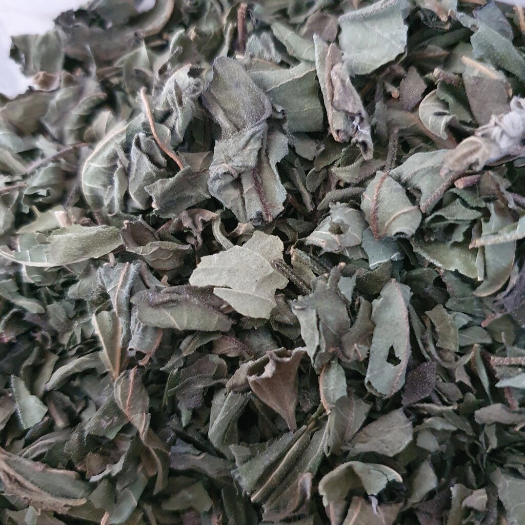 1 кг Топінамбур/земляна груша лист сушений (Свіжий урожай) лат. Heliánthus tuberosum від компанії greencard - фото 1