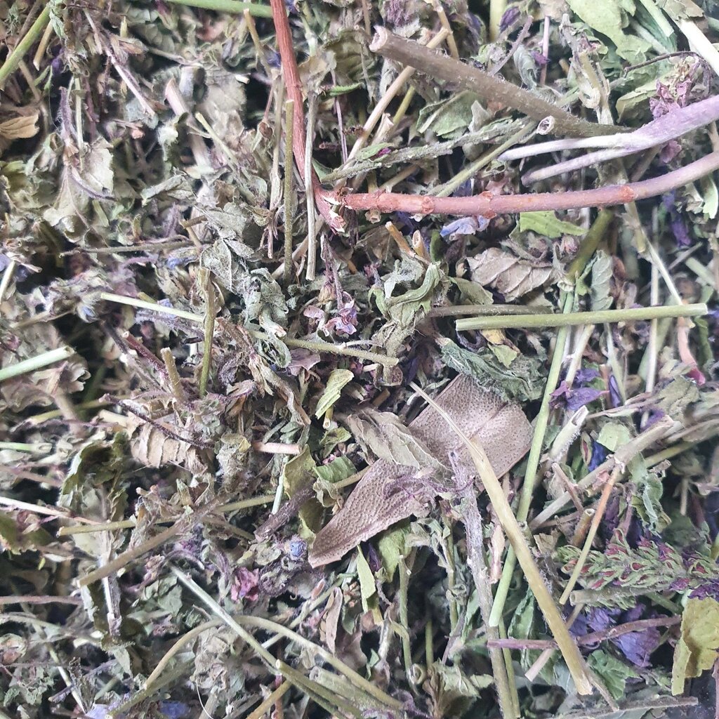 1 кг Вероніка лікарська трава сушена (Свіжий урожай) лат. Verónica officinalis від компанії greencard - фото 1