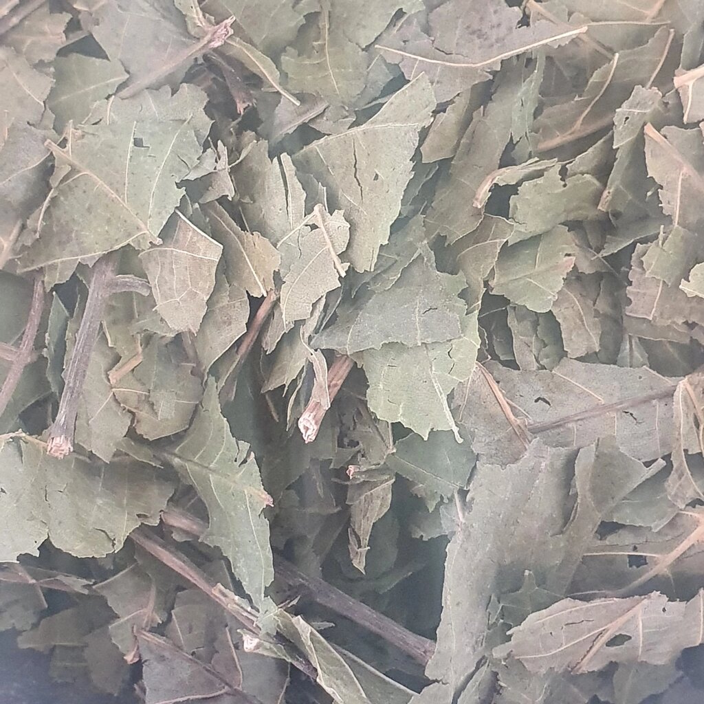 1 кг Волоський горіх листя сушене  (Свіжий урожай) лат. Júglans régia від компанії greencard - фото 1
