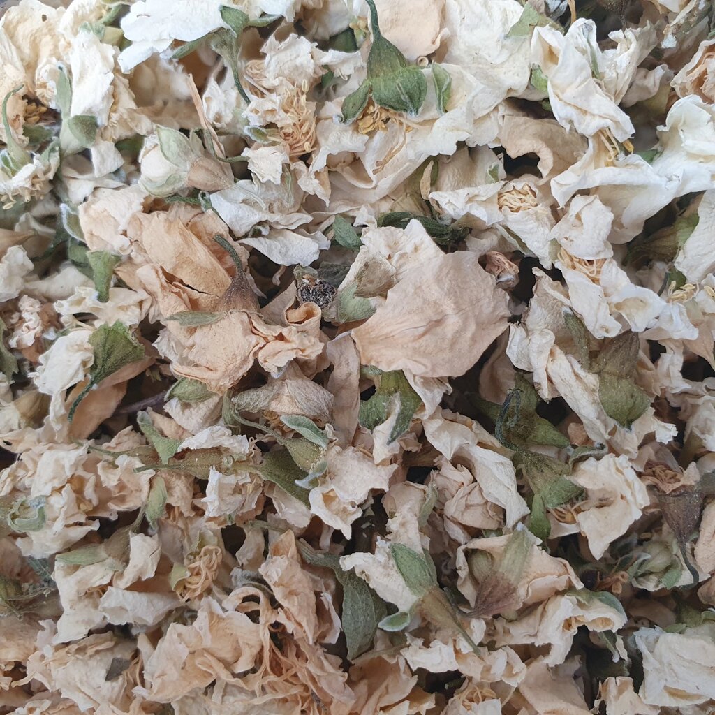1 кг Жасмин цвіт сушений  Україна/Китай (Свіжий урожай) лат. Jasmínum від компанії greencard - фото 1