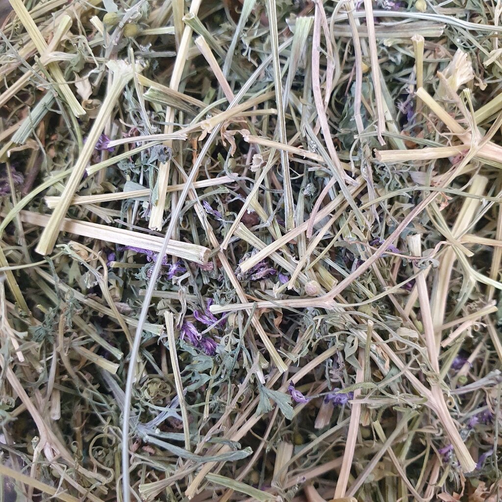100 г димянка/рутка лікарська трава сушена (Свіжий урожай) лат. Fumaria officinalis від компанії greencard - фото 1
