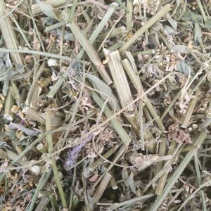100 г буркун трава сушена (Свіжий урожай) лат. Melilótus officinális