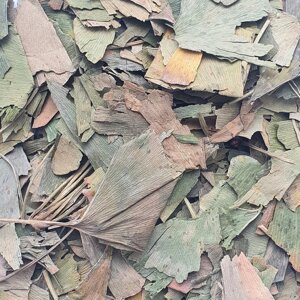 100 г гінкго білоба листя сушене (Свіжий урожай) лат. Ginkgo Biloba