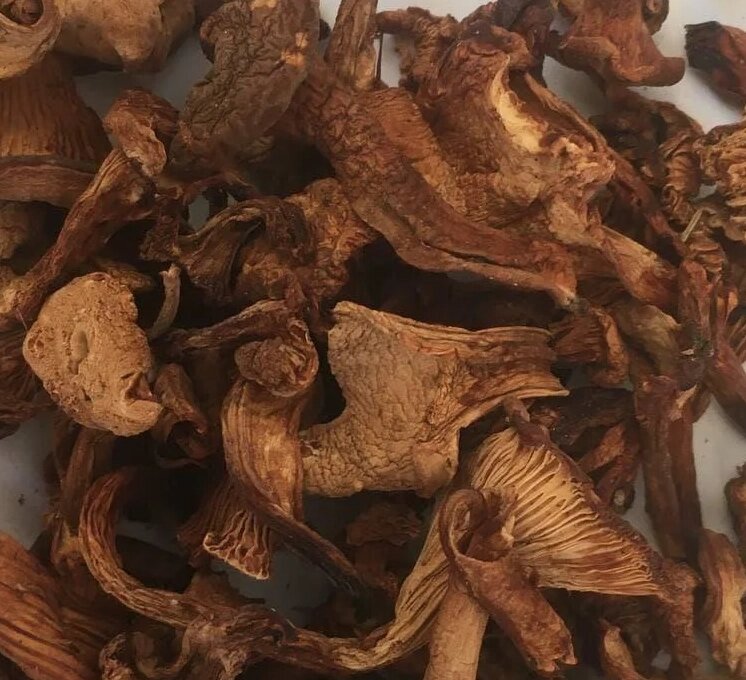 100 г лисички сушені гриби (Свіжий урожай) лат. Cantharéllus від компанії greencard - фото 1