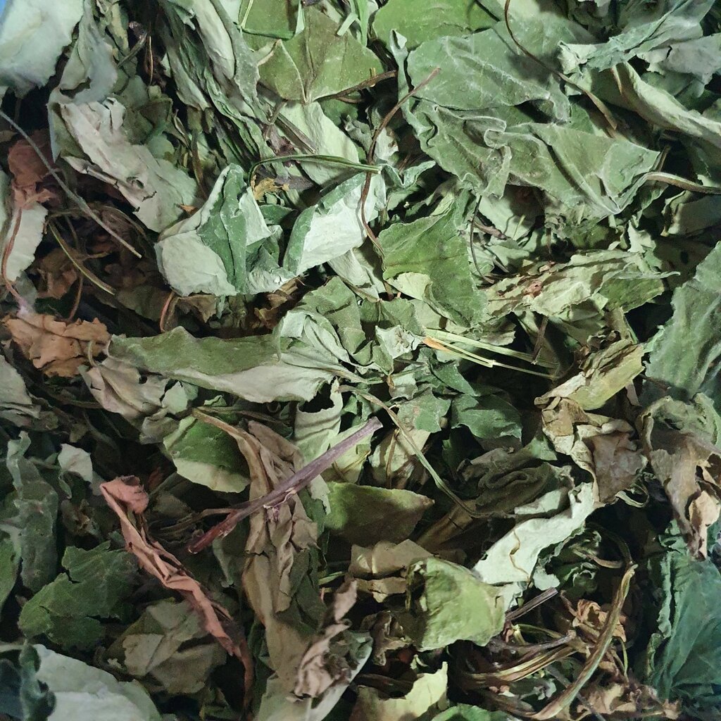 100 г медунка лікарська трава сушена (Свіжий урожай) лат. Pulmonaria officinalis від компанії greencard - фото 1