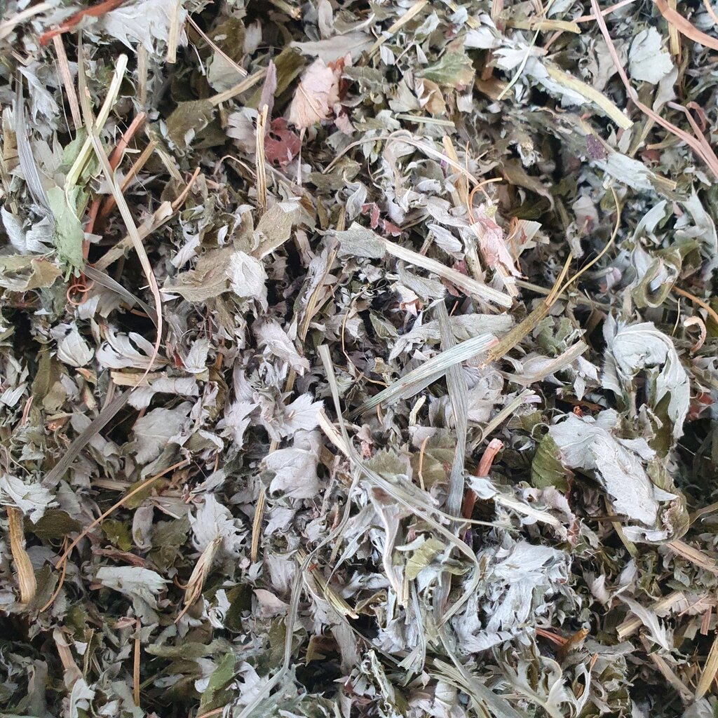 100 г перстач гусячий трава сушена (Свіжий урожай) лат. Potentilla anserina від компанії greencard - фото 1