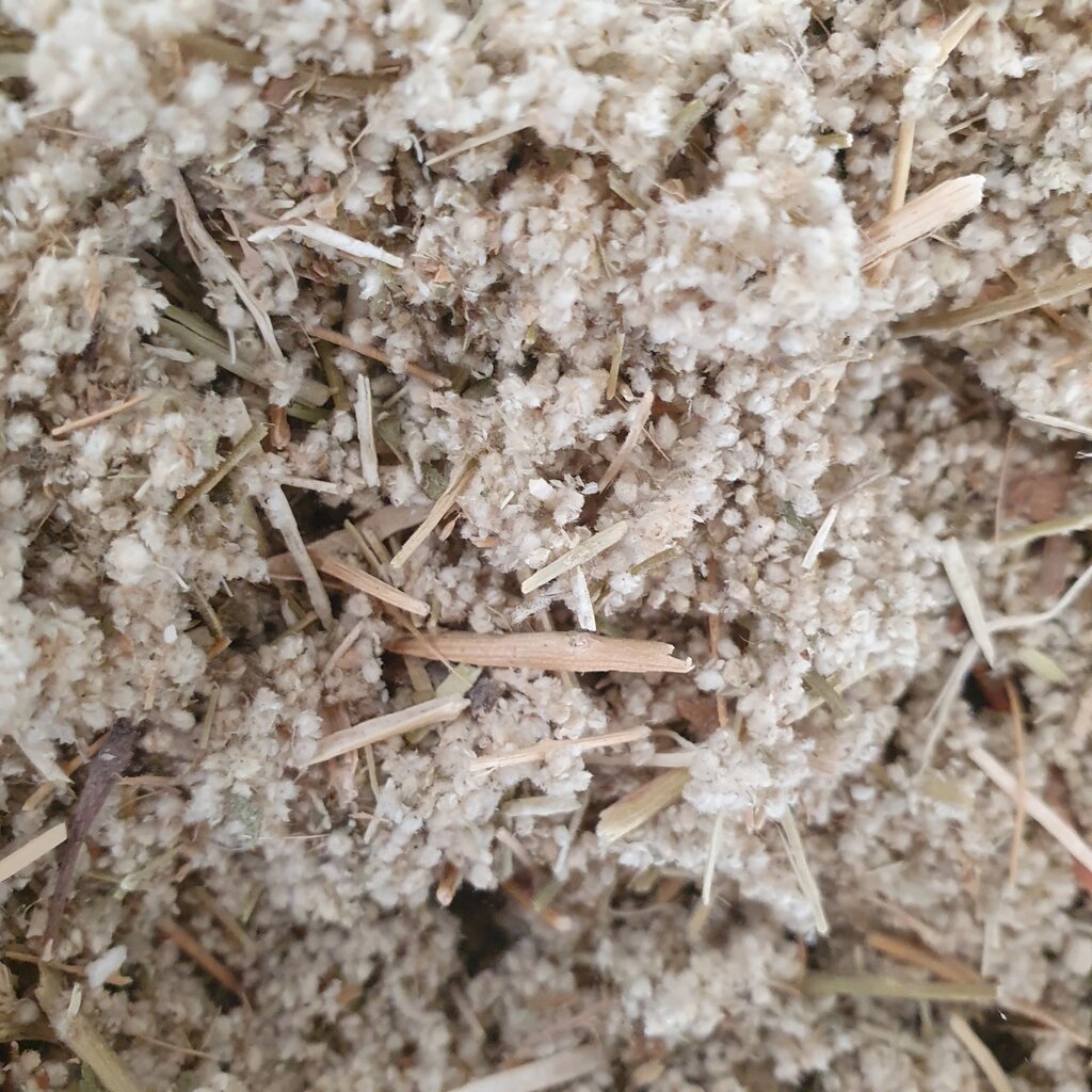 100 г пол-пала/ерва шерстиста трава сушена (Свіжий урожай) лат. Aerva lanata від компанії greencard - фото 1