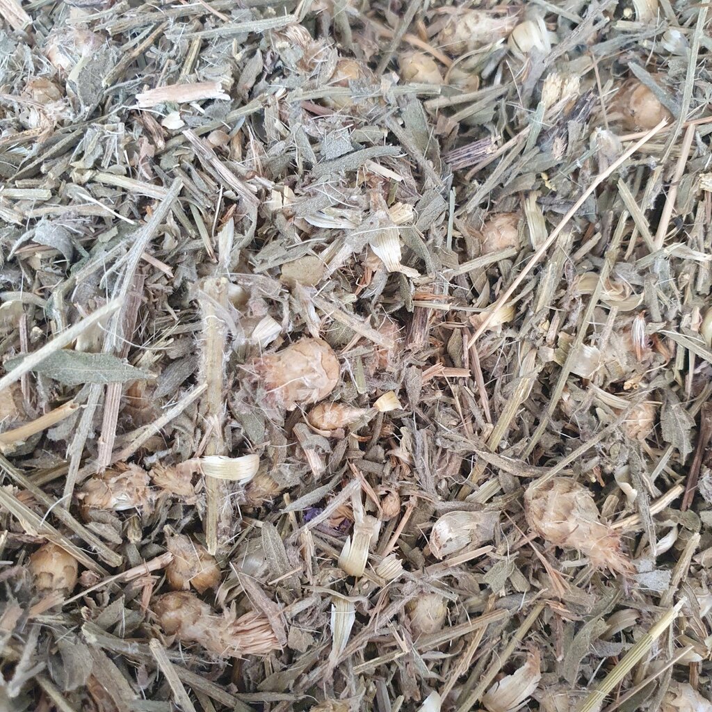 100 г сосюрея Горькуша трава (Свіжий урожай) лат. Saussurea від компанії greencard - фото 1