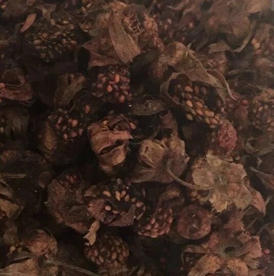 100 г суниця лісова сушені ягоди/плоди (Свіжий урожай)  лат. Fragária vésca від компанії greencard - фото 1