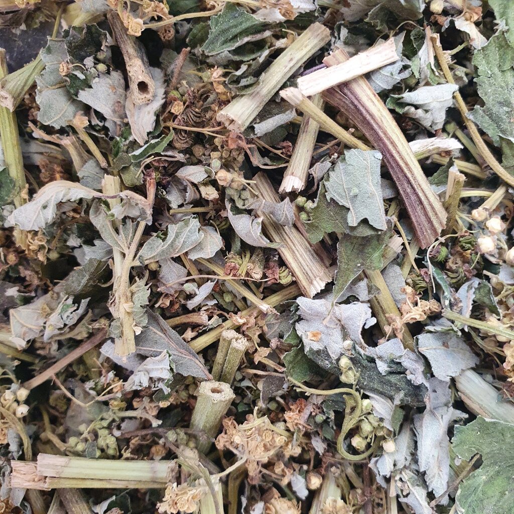 100 г таволга/гадючник в'язолистий трава сушена (Свіжий урожай) лат. Filipéndula від компанії greencard - фото 1