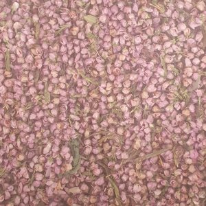 100 г вереск звичайний трава сушена (Свежий урожай) лат. Callúna vul