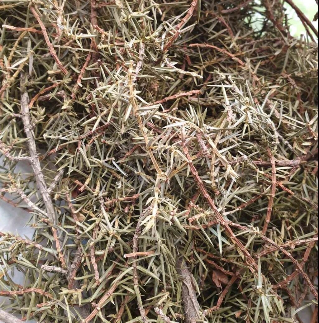 100 г ялівець трава/гілки сушені (Свіжий урожай) лат. Juníperus від компанії greencard - фото 1