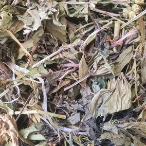 100 г ясменник запашний/підмаренник трава сушена (Свіжий урожай) лат. Galium odoratum
