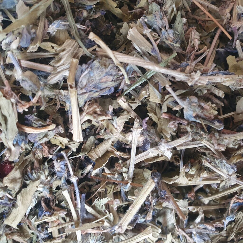 100 г живучка повзуча трава сушена (Свіжий урожай) лат. Ajúga réptans від компанії greencard - фото 1