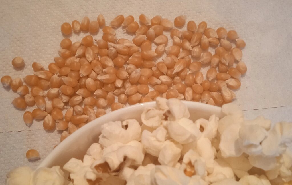 3 шт Насіння кукурудзи для попкорну 100 грамів Код/Артикул 72 від компанії greencard - фото 1