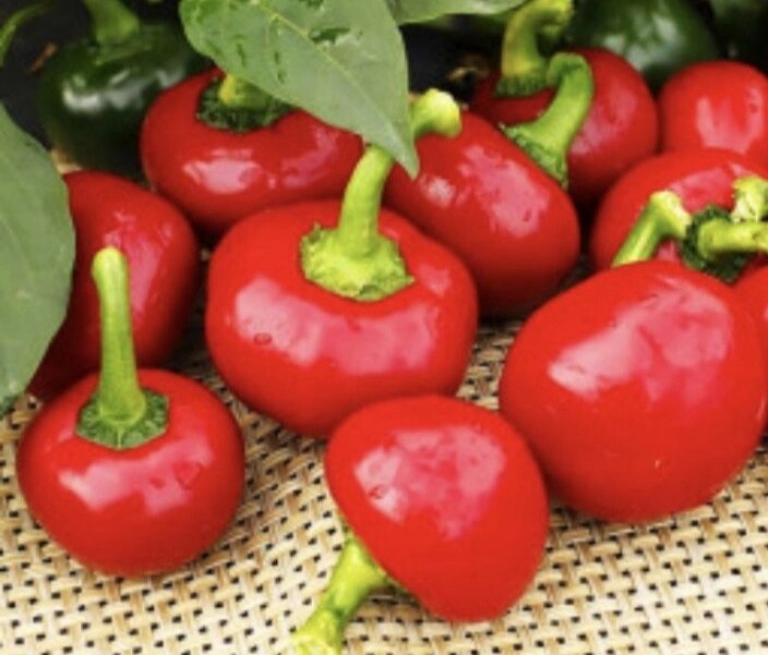 5 шт Гострий перець Червона вишня (Red Cherry Chili Pepper) насіння 5 штук Код/Артикул 72 від компанії greencard - фото 1