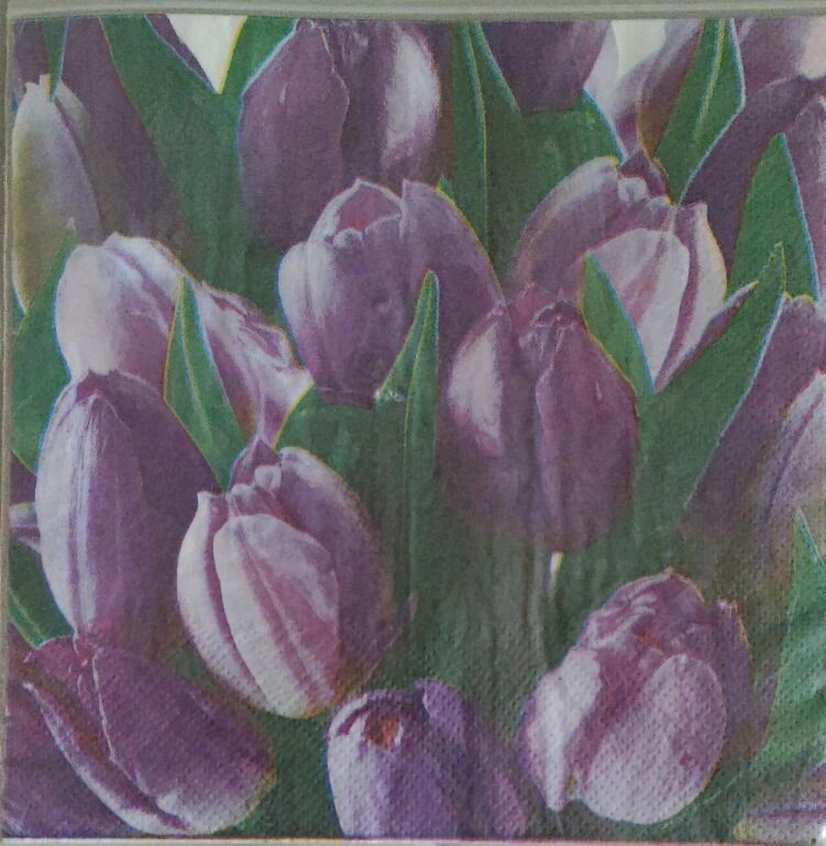 50 шт Серветки для декупажу  фіолетовий тюльпан розмір 33*33 см Код/Артикул 87 від компанії greencard - фото 1