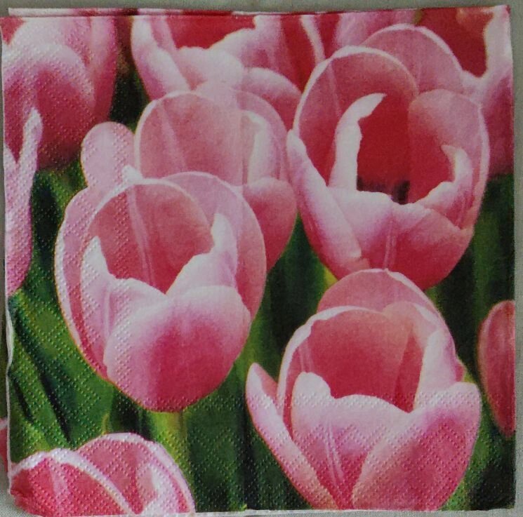 50 шт Серветки для декупажу тюльпани розмір 33*33 см Код/Артикул 87 від компанії greencard - фото 1